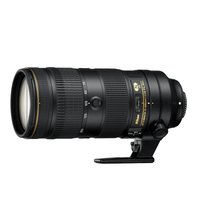 AF-S NIKKOR 70-200 mm f/2.8E FL ED VR
