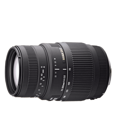 Sigma 70-300 mm f/4-5.6 DG (Canonnak)