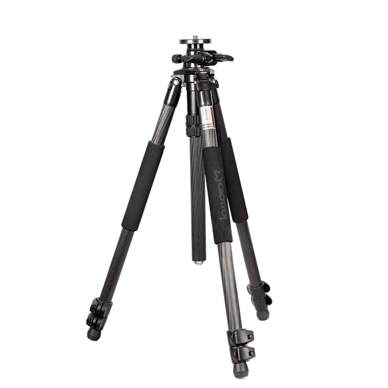Giotto mtl 8351b